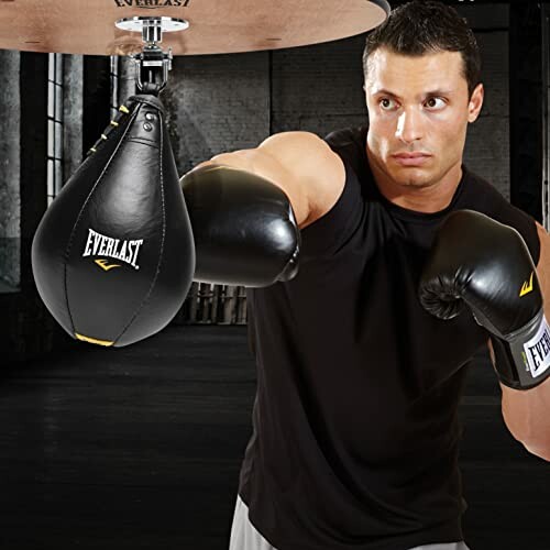 Everlast Speed Bag Platform